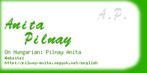 anita pilnay business card